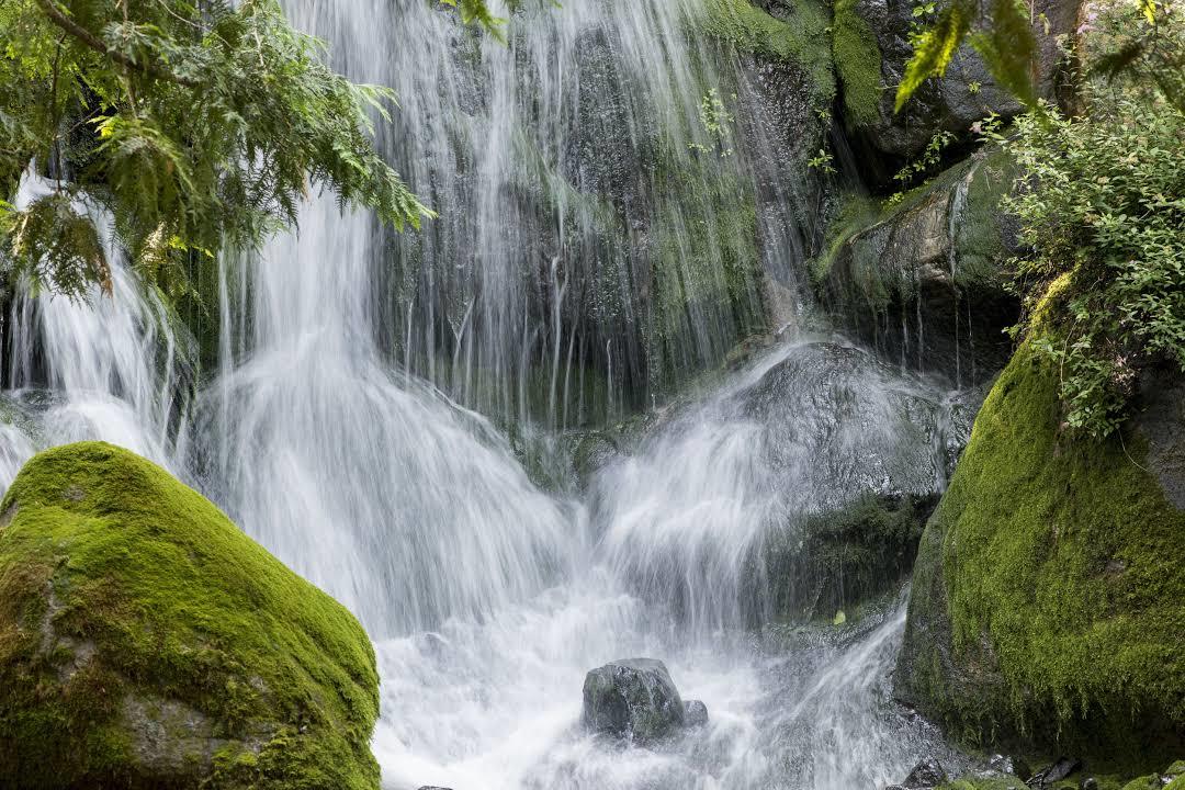 Landscape Arboretum Minnesota